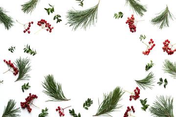 Christmas holidays botanical background
