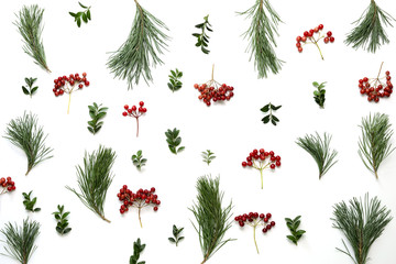 Christmas holidays botanical background