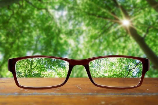 Brille auf einem Holztisch mit Wald im Hintergrund