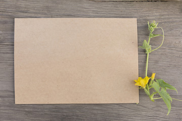 Cucumber flowers with craft paper blank on old grunge wooden background. Top view. Minimalistic mockup.