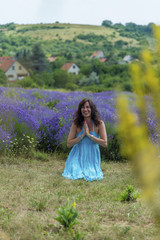 Fototapeta na wymiar Paya | Lavender Field at Balaton