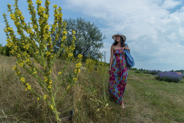 Paya | Lavender Field at Balaton