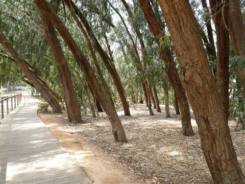 Parque Natural de la Mata 224