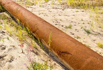 rusty pipe on sandy soil