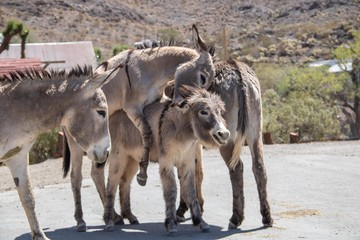 Unterwges auf der Route 66