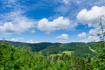 Germany, Black forest hiking trail through nature landscape
