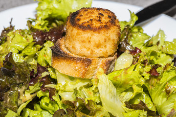 Salade/Salade Batavia avec fromage de chèvre chaud