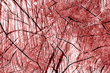 Old log cut macro in red tone.
