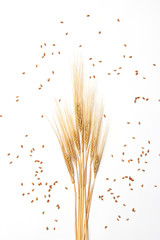 wheat and spikelets on a white background top view. Wheat, bread, harvest.