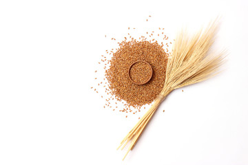 wheat and spikelets on a white background top view. Wheat, bread, harvest.