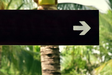 Wooden nameplate with index arrow and copy space. object on the background of palm trees