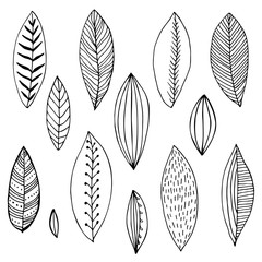 black and white set of stylized hand-drawn leaves