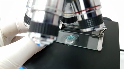 Analysis of microbiological sample