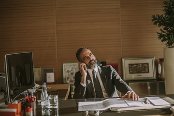 Senior businessman using mobile phone and working in modern office