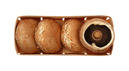 One box of brown portobello mushroom isolated