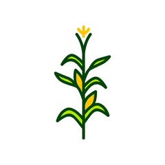 Fototapeta na wymiar corn tree vector icon illustration
