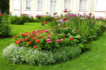 flowerbed with flowers in a pair