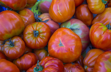 Ripe organic tomatoes grown in a greenhouse, collected in a box