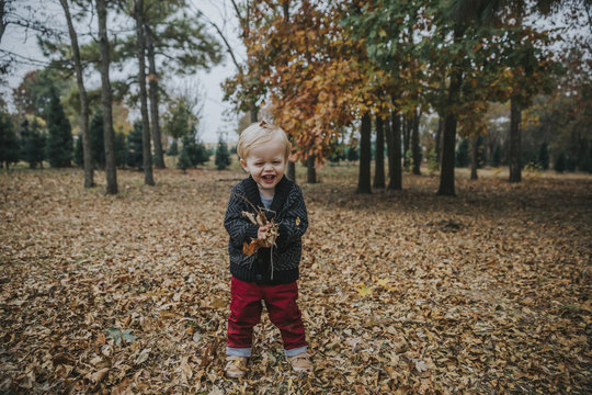 Portrait of happy baby boy playing with autumn leaves while standing at park
