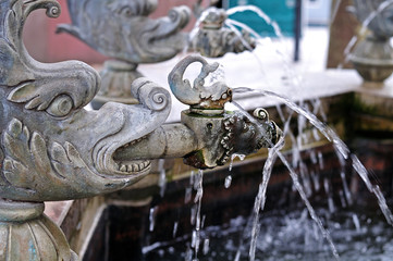 water spitting bronze fishes at old fountain
