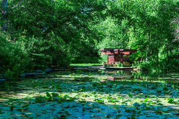 Alfred Caldwell Lily Pool in Chicago