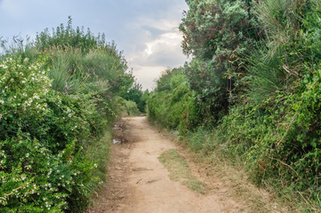 Path on Kamenjak National Park in Croatian Istria