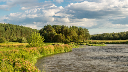 Fototapeta na wymiar панорама летнего пейзажа на берегу уральской реки с лесом, Россия, август