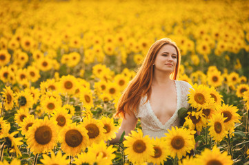Beautiful girl in a huge yellow field of sunflowers.