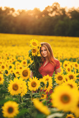 Fototapeta premium Beautiful girl in a huge yellow field of sunflowers.