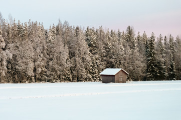 Cold winter landscape, cabin in forest