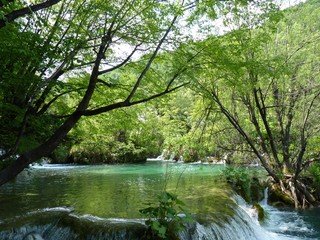 Les lacs de Plitvice en Croatie