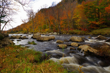 Adirondack mountains during peak fall leaf foliage in October. Taken in the high peaks region of Upstate New York In Autumn.