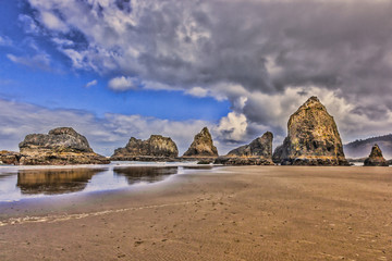 morning stroll among the giants