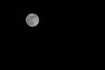 Obraz premium Super Blue Blood Moon