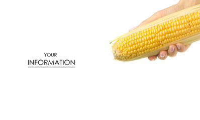 Corn in hand pattern on a white background isolation