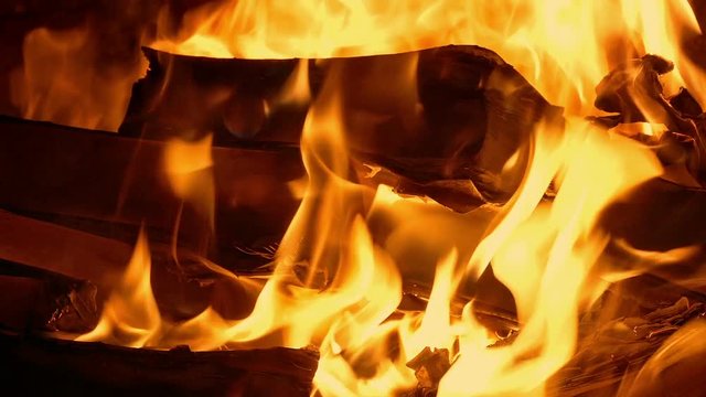 Book Burning - Censorship Concept 2