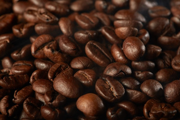grains of coffee with smoke on a dark background