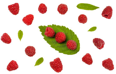 Raspberries isolated on white. Top view