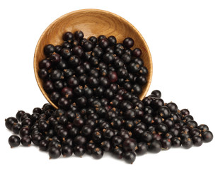 Black currant in a Cup isolated on white background
