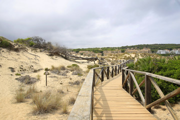 Fototapeta na wymiar Sanddünen mit Holzsteg, Cala Mesqquida, Insel Mallorca, Spanien, Europa