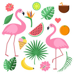 Illustrations with summer symbols. Tropical fruits and flowers