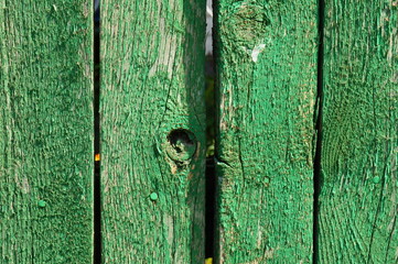 Fence green.