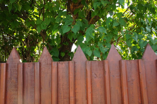 Fence is brown with a tree. © Ирина Алексеенко