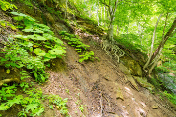 Obraz premium Track on a steep slope of the mountain