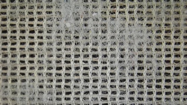 Microscopic view of clothes dryer lint filter with lint cotton fibers and synthetic fibers.