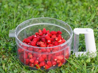 Ripe strawberries in a transparent plastic container on the lawn