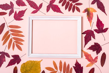 Multicolored autumn leaves frame on pink pastel background. Hello Autumn concept