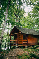 Fototapeta na wymiar Wooden house in forest 