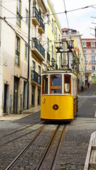 Naklejka na ściany i meble tramway de Lisbonne