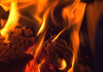 Fototapeta premium Discovering fire and wood in the fireplace